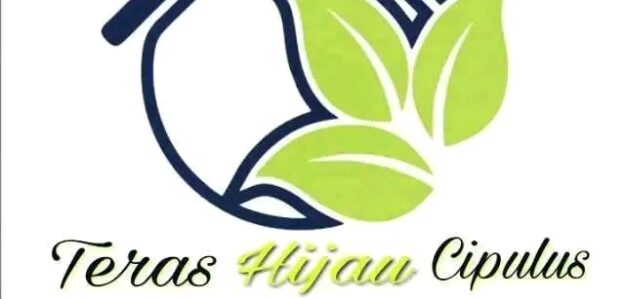 Terashijaucipulus