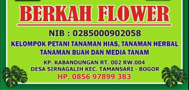Mihrima Florist